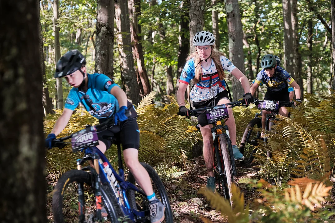 Image description